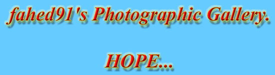 My photography page...my HOPE!